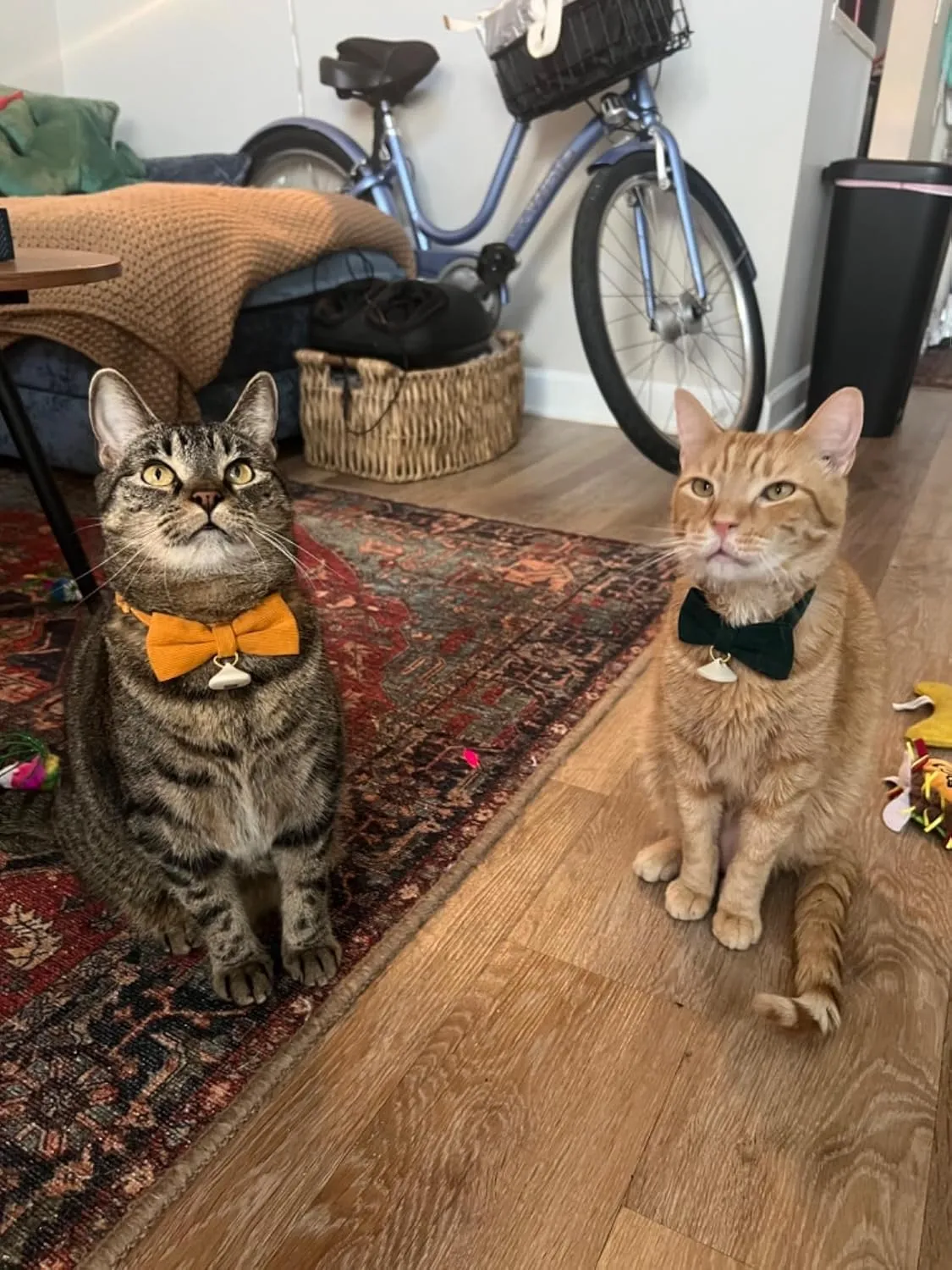 2 Pack Soft Corduroy Cat Collars with Bow Tie & Bell, Adjustable Breakaway Cotton Kitty Bowtie Collar for Boy Male Cats(Black & Green)
