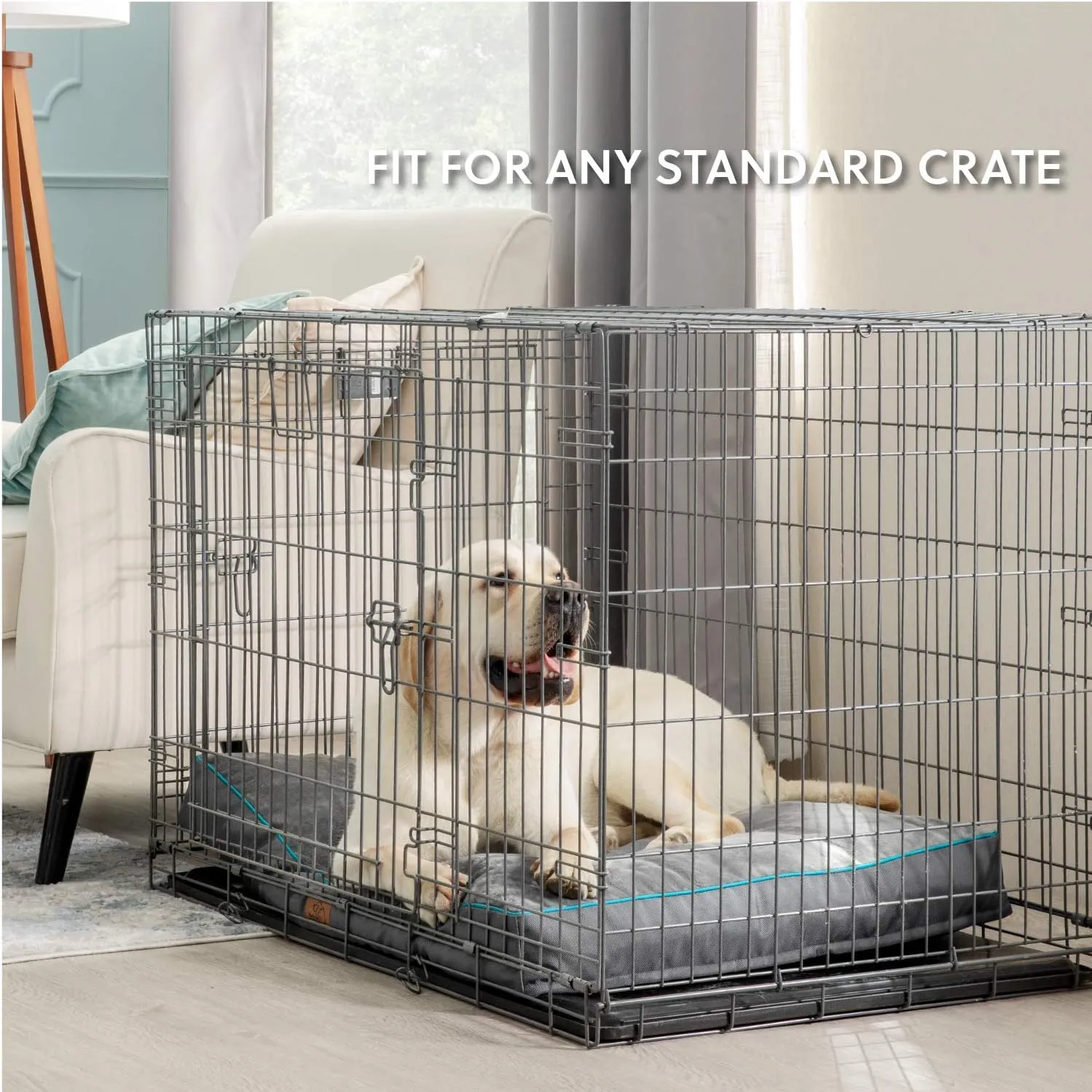 Bedsure Washable Dog Bed Medium Size Dog - 4 Inch Thicken Up to 45lbs Waterproof Pet Mat Pillows with Removable Washable Cover, Grey