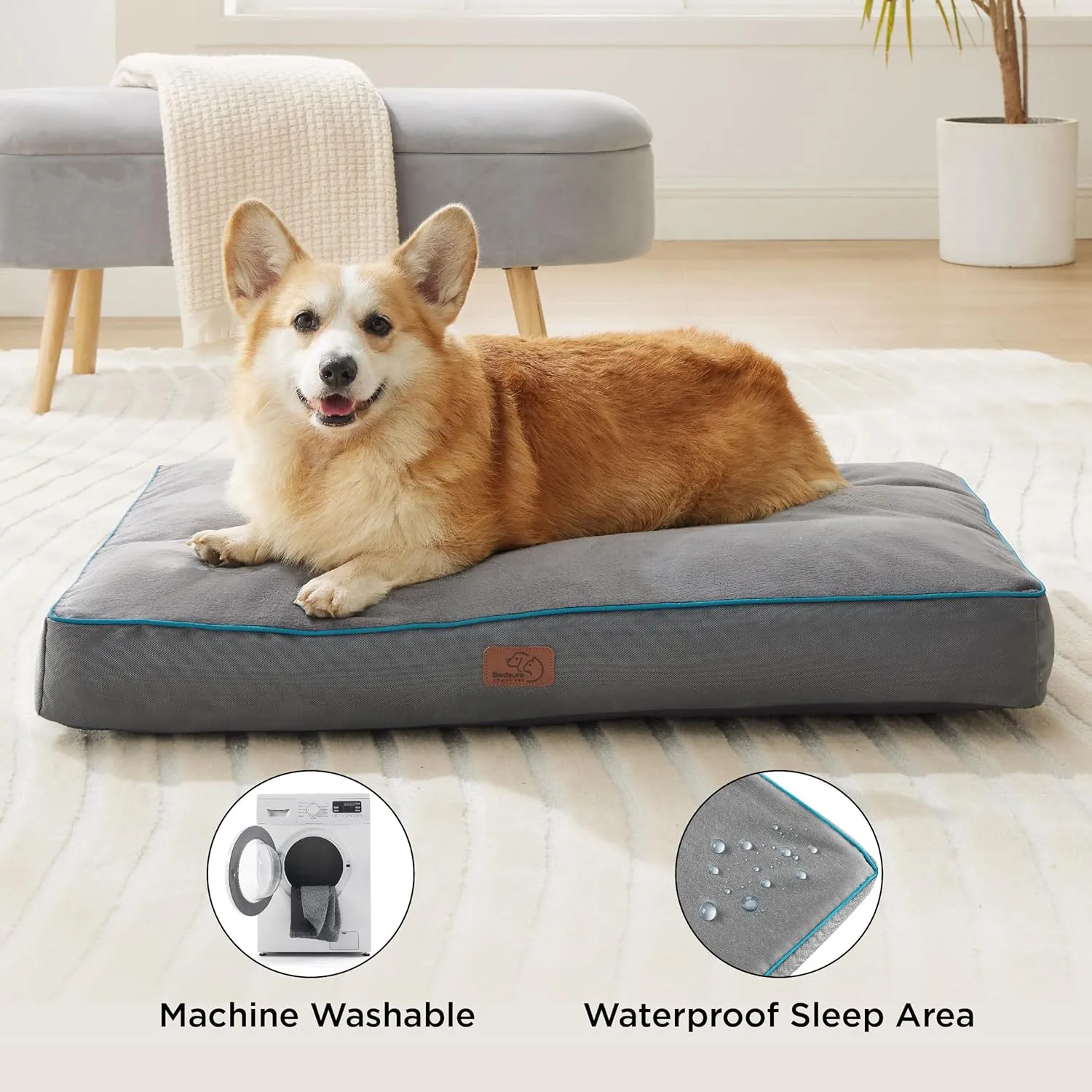 Bedsure Washable Dog Bed Medium Size Dog - 4 Inch Thicken Up to 45lbs Waterproof Pet Mat Pillows with Removable Washable Cover, Grey