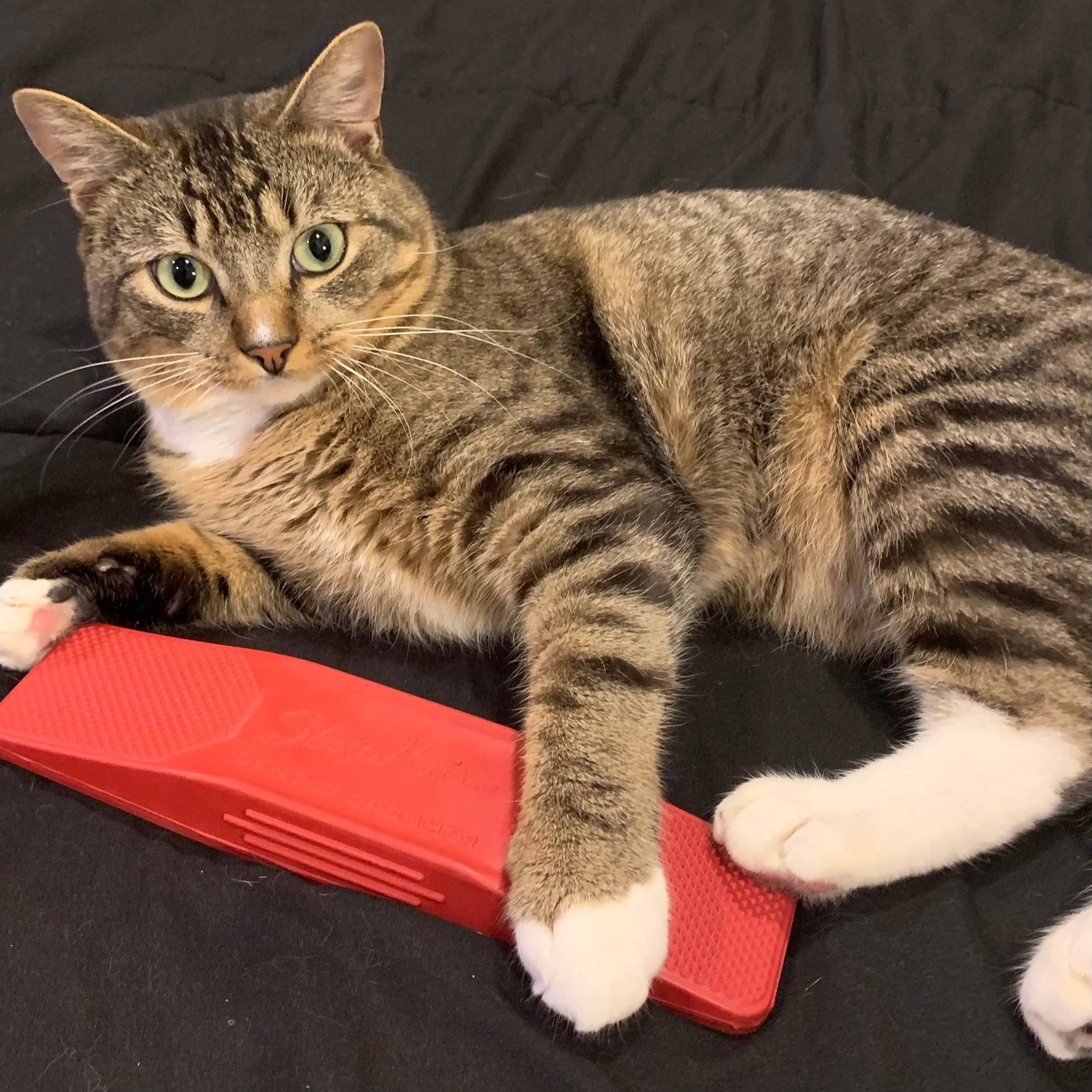 Betty's Best - StripHair Gentle Groomer Sensitive for Pets
