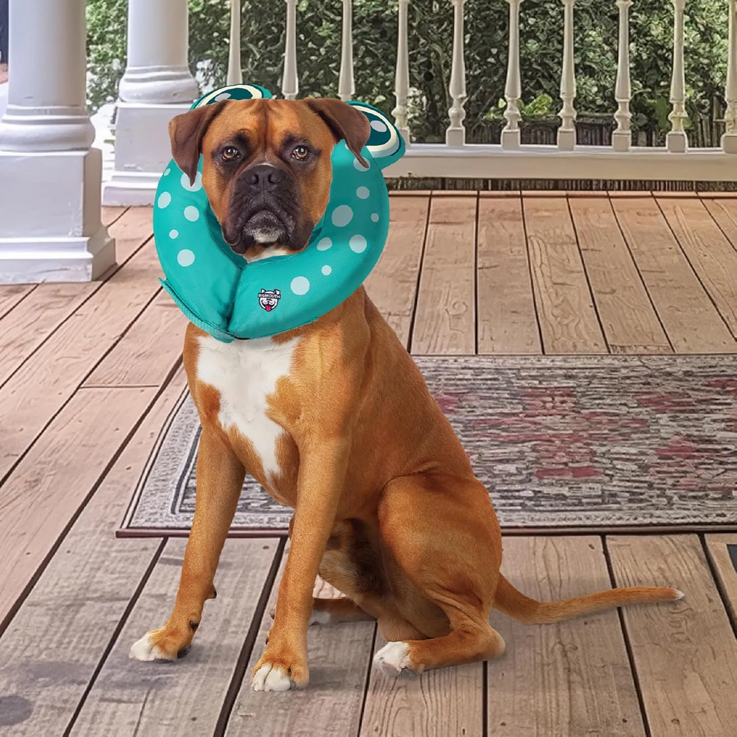 BigMouth Inc Frog Inflatable Recovery Collar, Comfortable Cone Replacement for Pet Surgery, Protective Collars to Prevent Licking & Biting, Size Large
