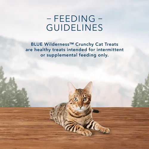 BLUE Wilderness Grain Free Crunchy Cat Treats; Tasty Salmon Flavor
