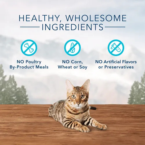 BLUE Wilderness Grain Free Crunchy Cat Treats; Tasty Salmon Flavor