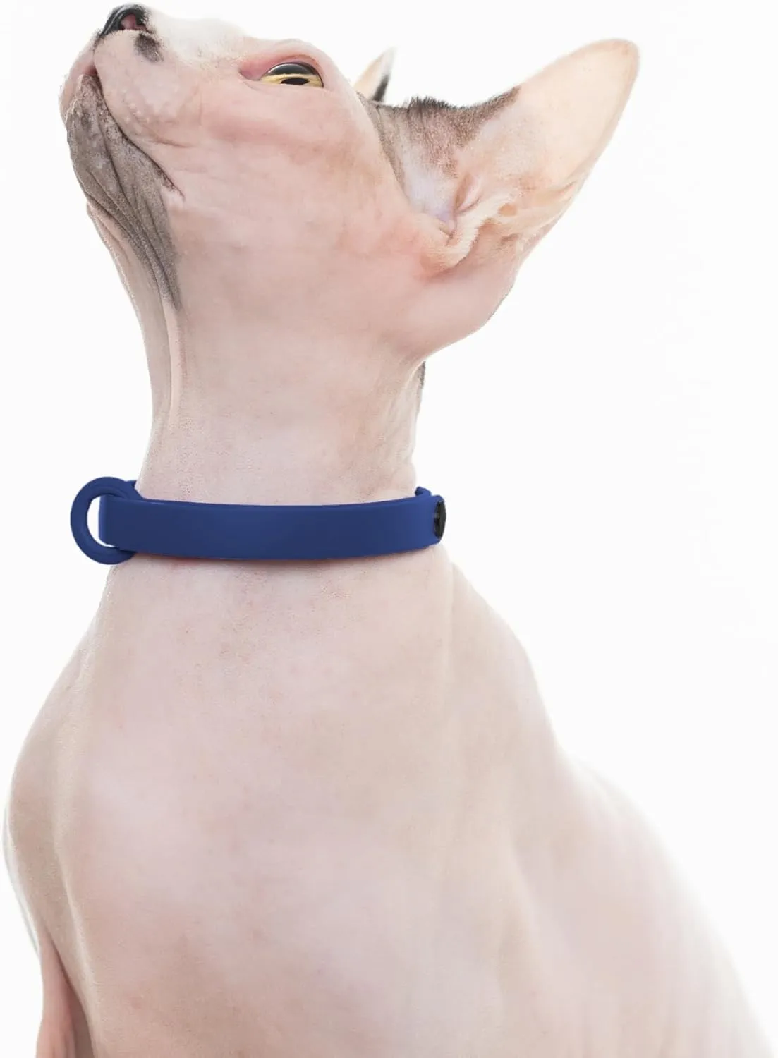 Breakaway Cat Collar - Soft, Comfortable, and Lightweight Safety Buckle Collar with Name Tag Ring for Outdoor Cats and Sensitive Skin Kittens by Nuvuq (6 " to 10 ", Dark Blue)
