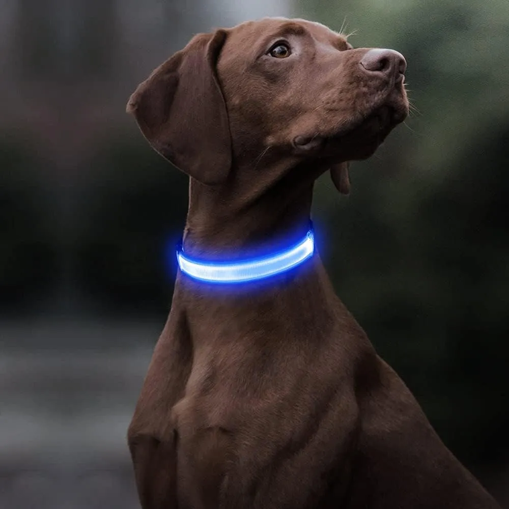 BSEEN Light Up Dog Collar - Reflective LED Dog Collar, Waterproof Glow in The Dark Dog Collars, Rechargeable Dog Lights for Night Walking (Royal Blue, Small)
