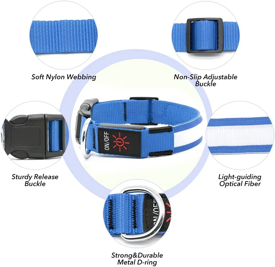BSEEN Light Up Dog Collar - Reflective LED Dog Collar, Waterproof Glow in The Dark Dog Collars, Rechargeable Dog Lights for Night Walking (Royal Blue, Small)