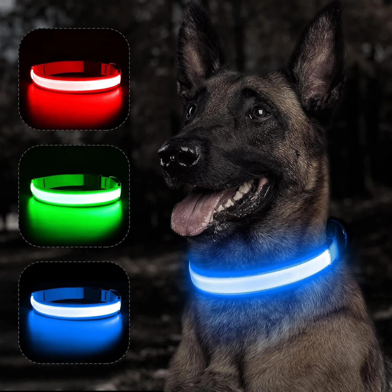 BSEEN Light Up Dog Collar - Reflective LED Dog Collar, Waterproof Glow in The Dark Dog Collars, Rechargeable Dog Lights for Night Walking (Royal Blue, Small)