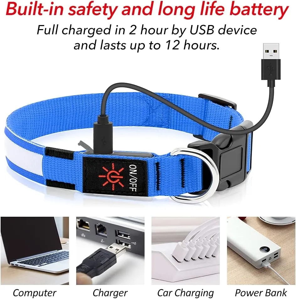 BSEEN Light Up Dog Collar - Reflective LED Dog Collar, Waterproof Glow in The Dark Dog Collars, Rechargeable Dog Lights for Night Walking (Royal Blue, Small)