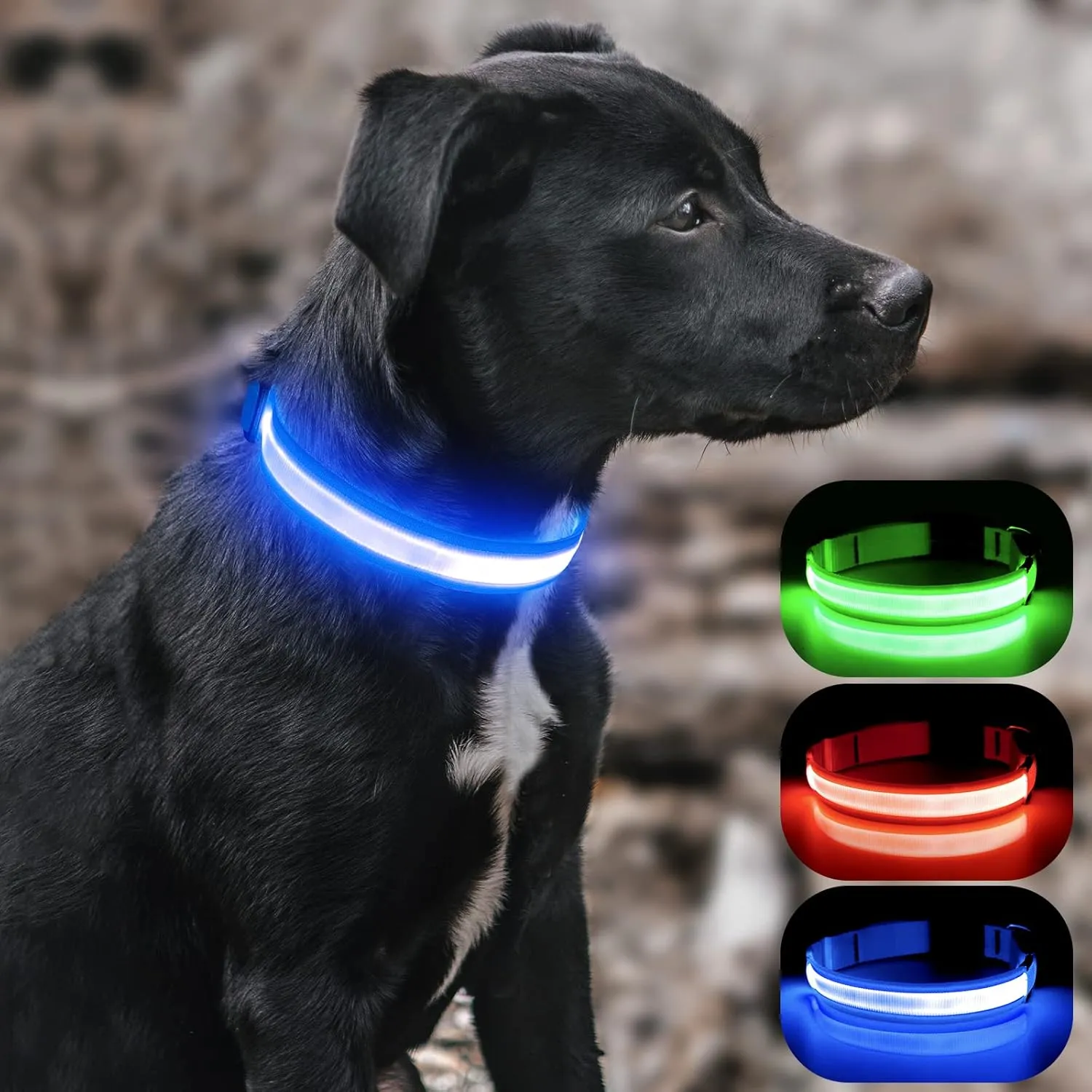 BSEEN Light Up Dog Collar - Reflective LED Dog Collar, Waterproof Glow in The Dark Dog Collars, Rechargeable Dog Lights for Night Walking (Royal Blue, Small)
