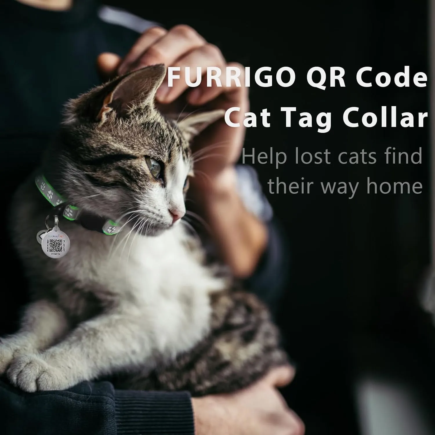 Cat Collar Breakaway with QR Code Name Tag, Reflective Kitten Collars with Bell, Cat ID Tag Personalized, Ultra-Durable, Adjustable, Quick Release, Fits Most Girl Boy Small Large Cats (8''-13.3'')