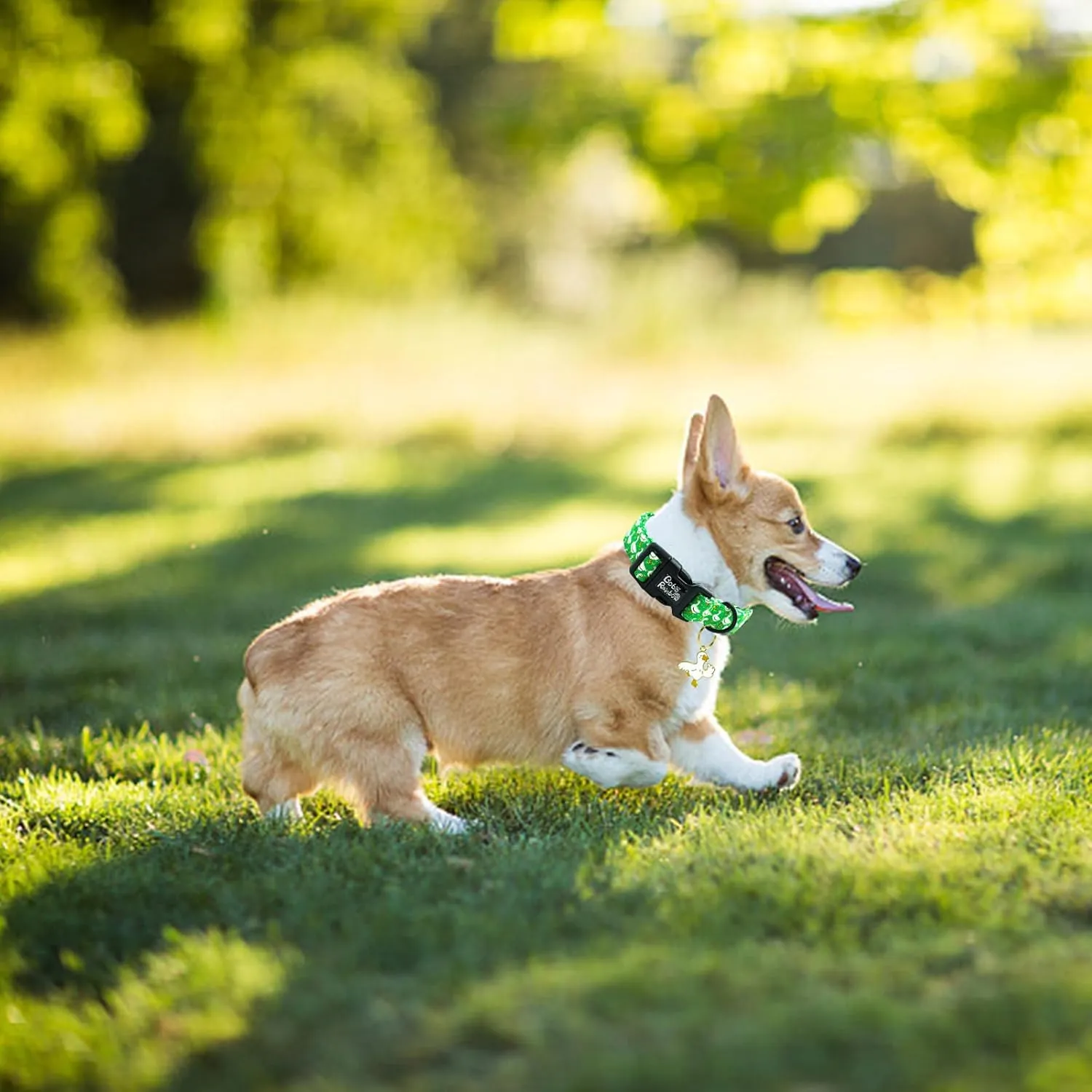 Dog Collar-Goose Adjustable Pet Collar Comfortable Spring Summer Puppy Collar Cute Cotton Collars Durable Necklace Gift for Medium Dogs