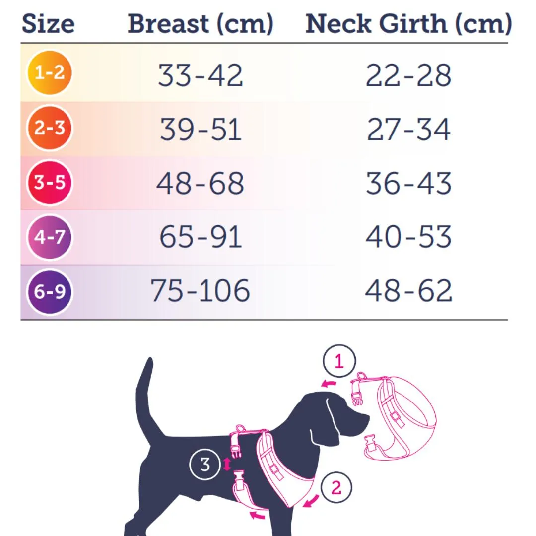 Doodlebone Adjustable Airmesh Dog Harness - Pumpkin