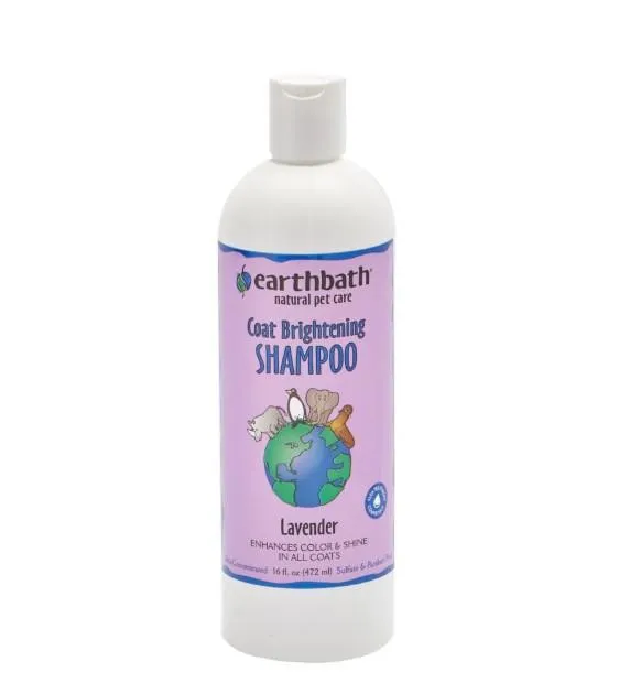 Earthbath Coat Brightening Shampoo With Lavender For Dogs