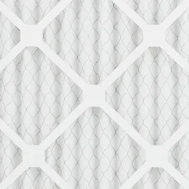 Flanders NaturalAire Standard Air Filter, MERV 8, 14 x 14 in.