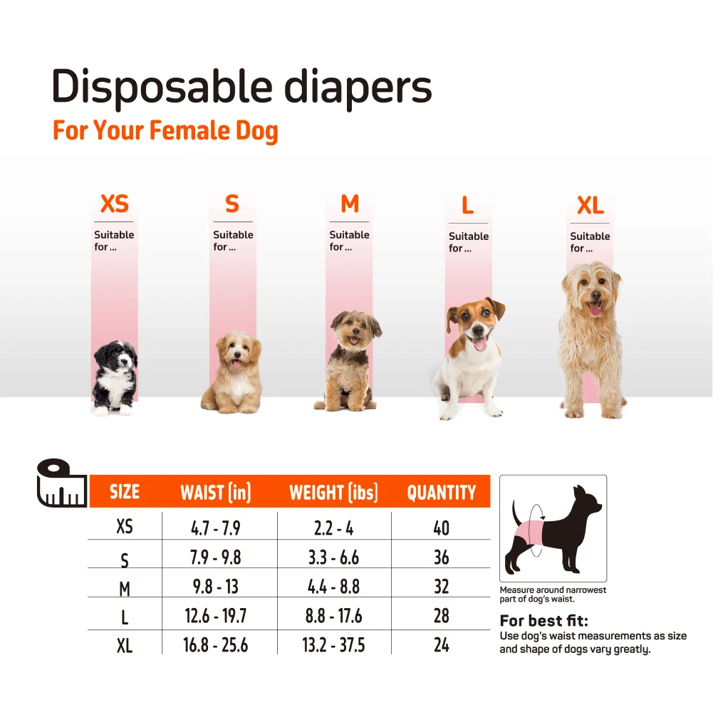Fofos Diaper for Male Dog (25x33cm)