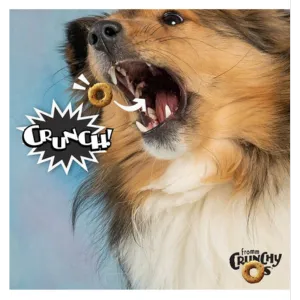 Fromm Crunchy O's Bacon Blasters Dog Treats, 6-oz bag