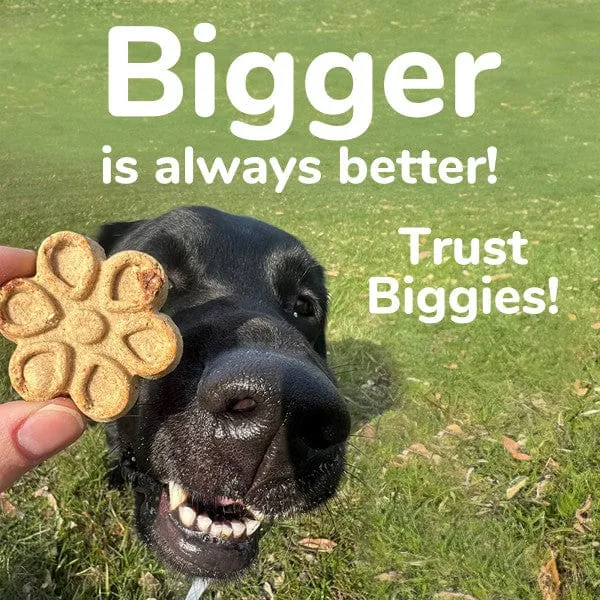 Fruitables Biggies Crispy Bacon & Apple Dog Treats