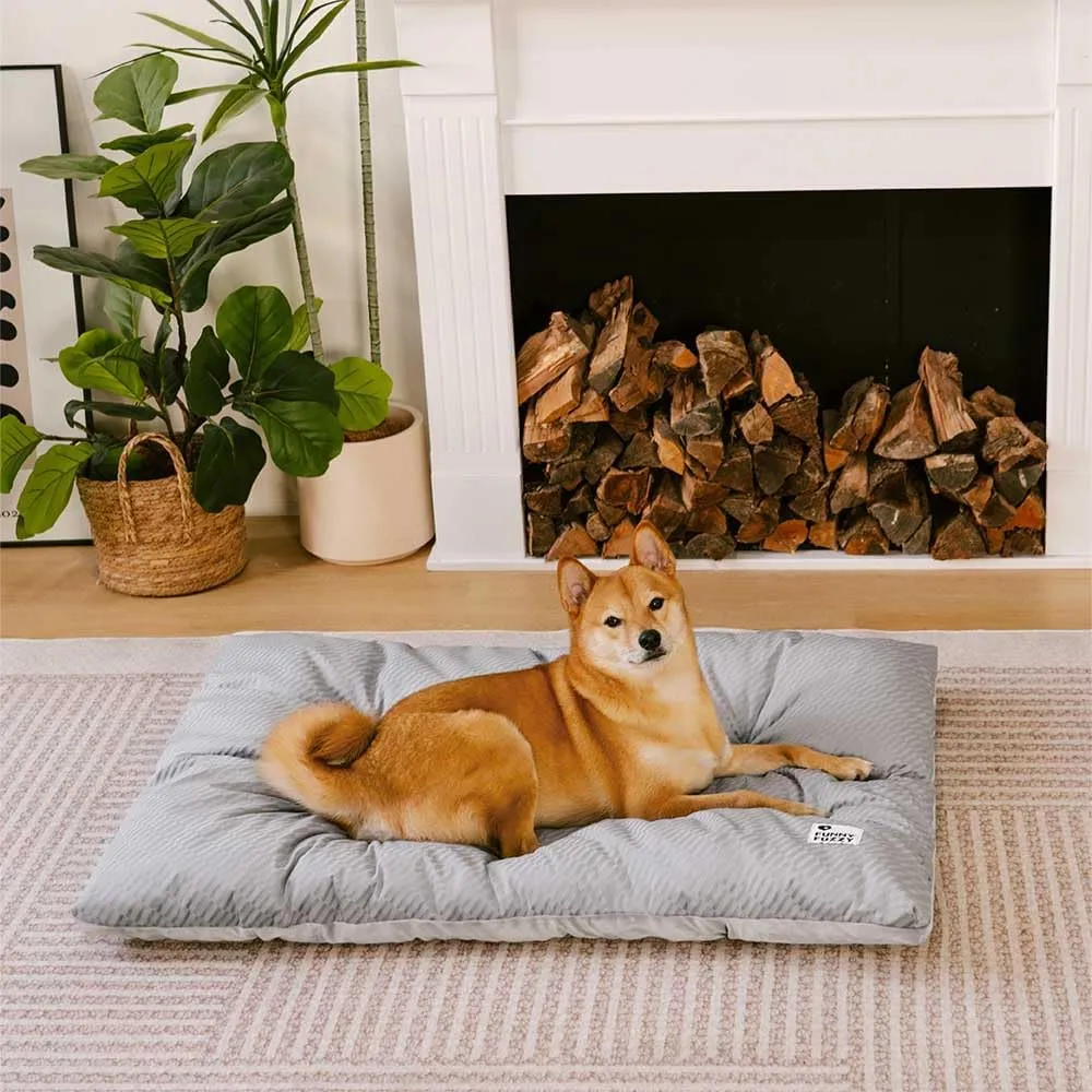 FUNNY FUZZY Cat and Dog Bed, Washable Cat &Dog Crate Bed, Dual-Sided Reversible Floor Plush Calming Cat Dog Mat, Lightweight Travel Pet Beds for Puppy Cats &Dog,35.4"  22.8", Silver Grey