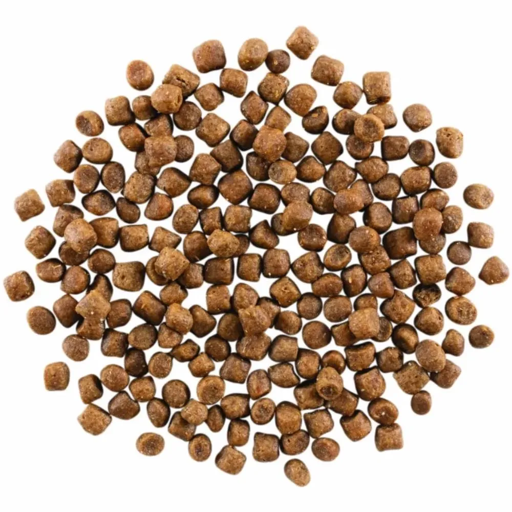 Go! Solutions Carnivore Grain Free Salmon   Cod Recipe Dry Cat Food 3lb