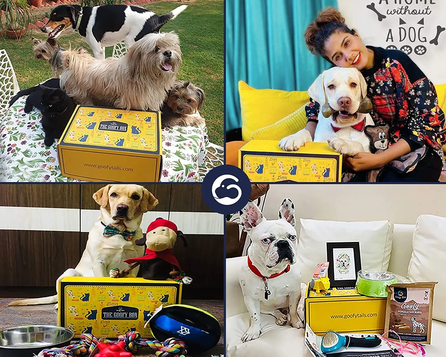 Goofy Tails Gold Goofy Box for Small and Medium Dogs | Personalized Curated Gift Box for Dogs