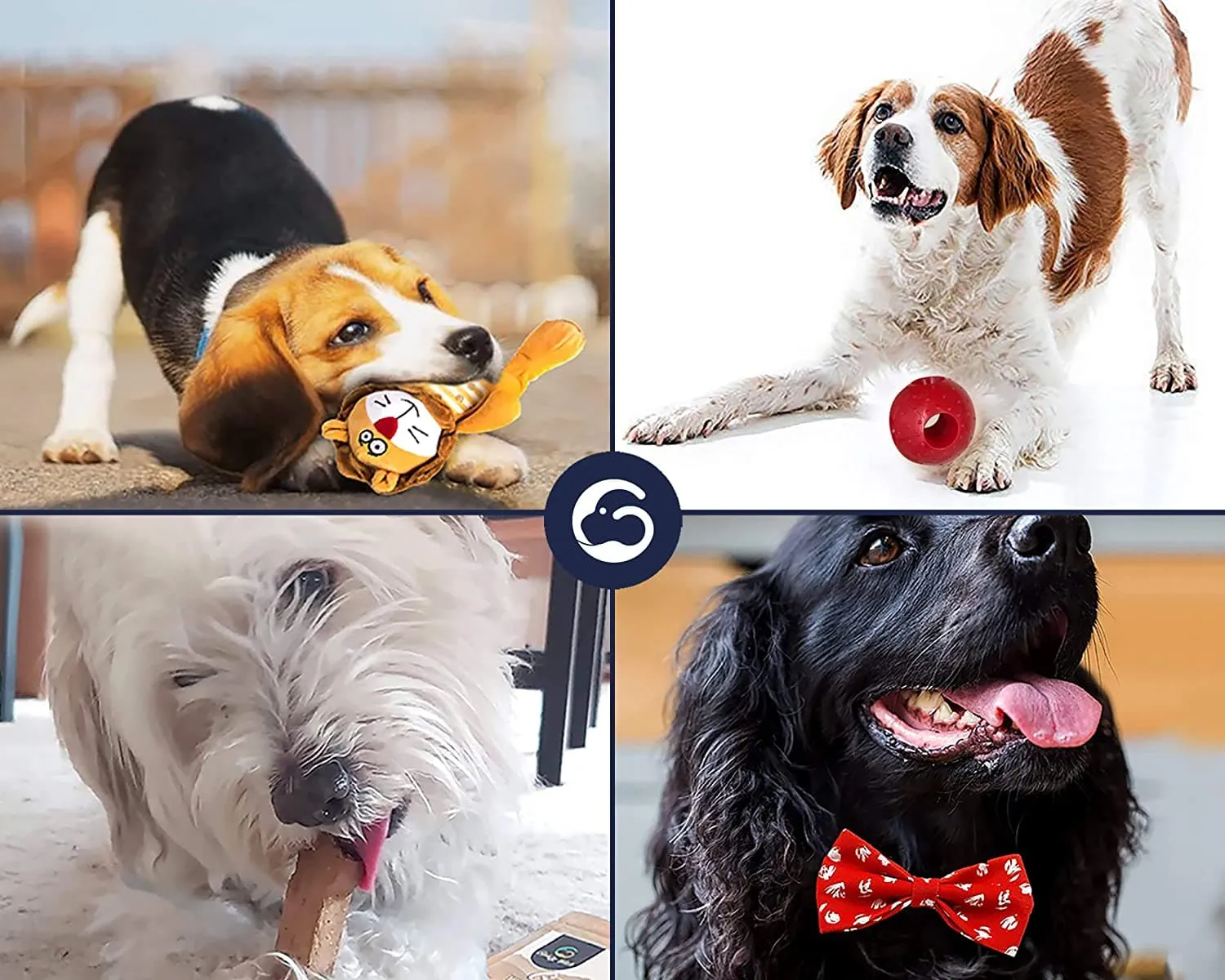 Goofy Tails Gold Goofy Box for Small and Medium Dogs | Personalized Curated Gift Box for Dogs