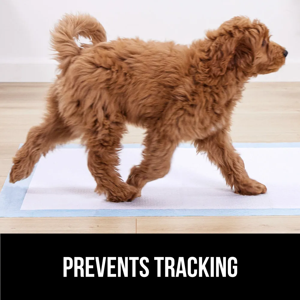 Gorilla Guard Absorbent and Leak Proof Disposable Puppy Pads