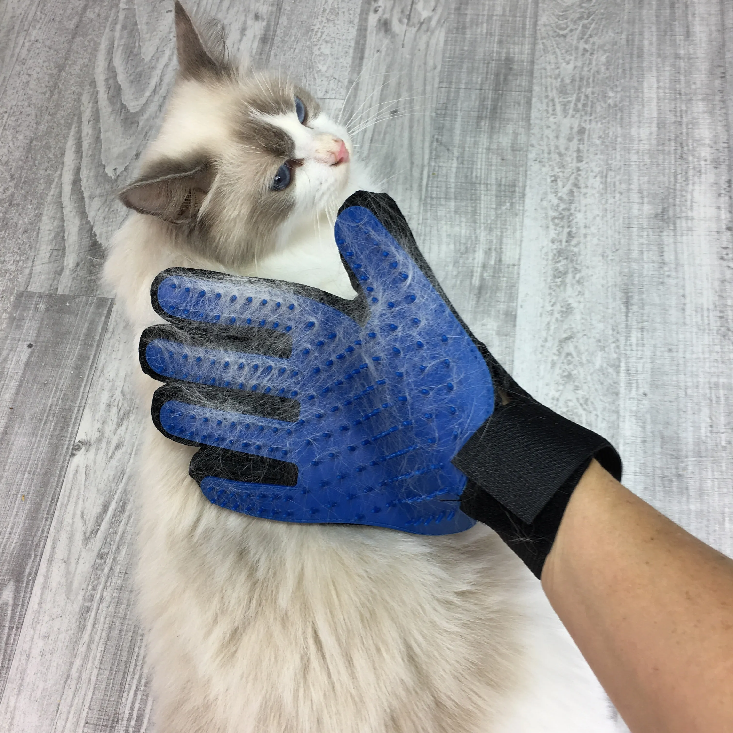 Grooming glove