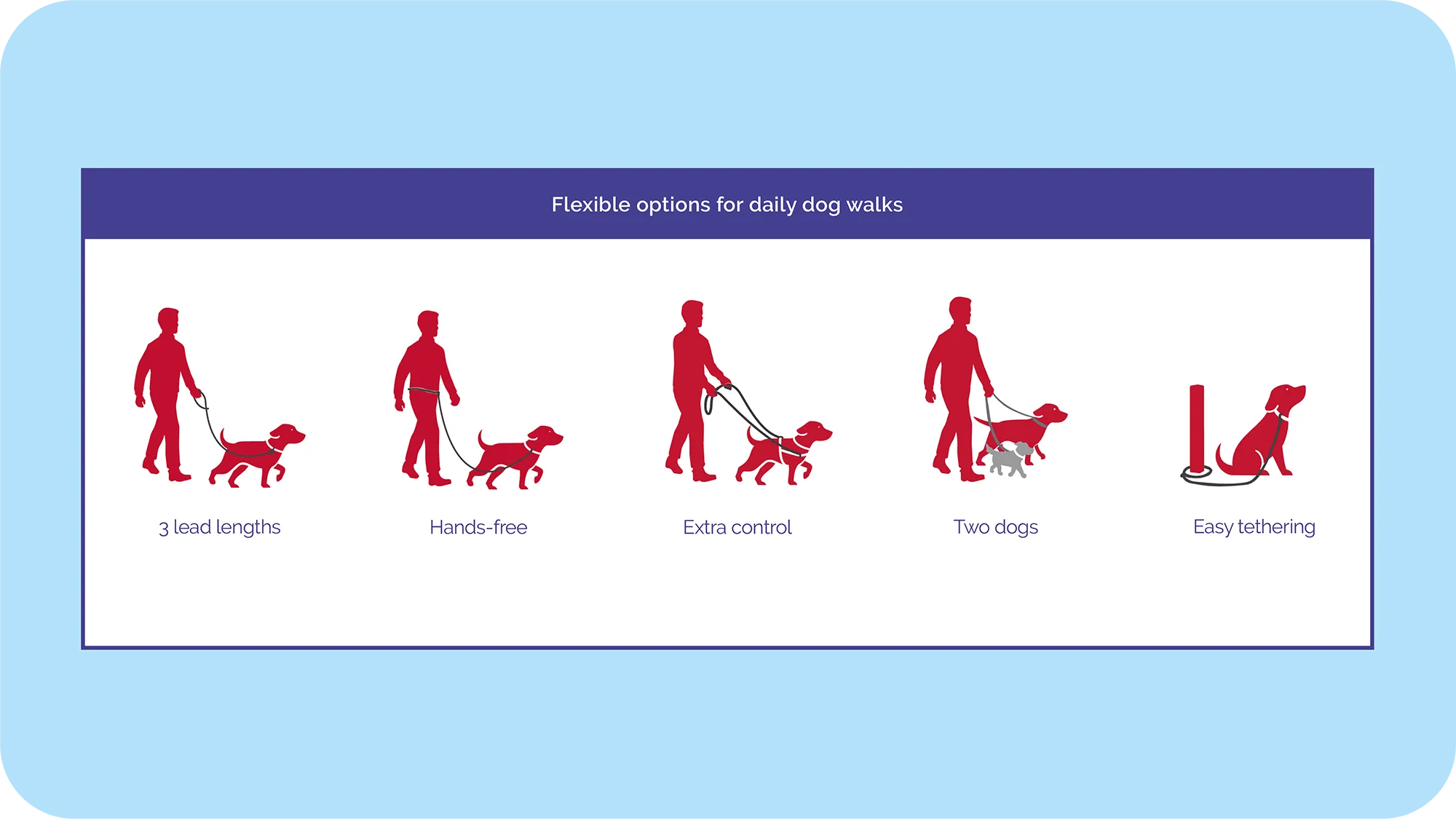 Halti Double Ended Dog Lead (2 colours)