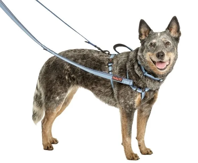 Halti Double Ended Dog Lead (2 colours)