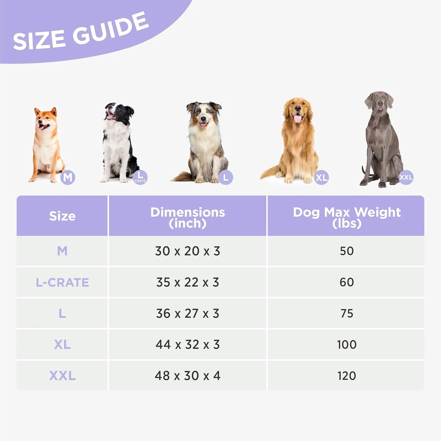 Lesure Outdoor Waterproof Dog Bed for Crate, Orthopedic Egg Crate Foam Pet Bed with Oxford Fabric Surface and Removable and Durable Cover, Machine Washable, 35''x22'', Navy