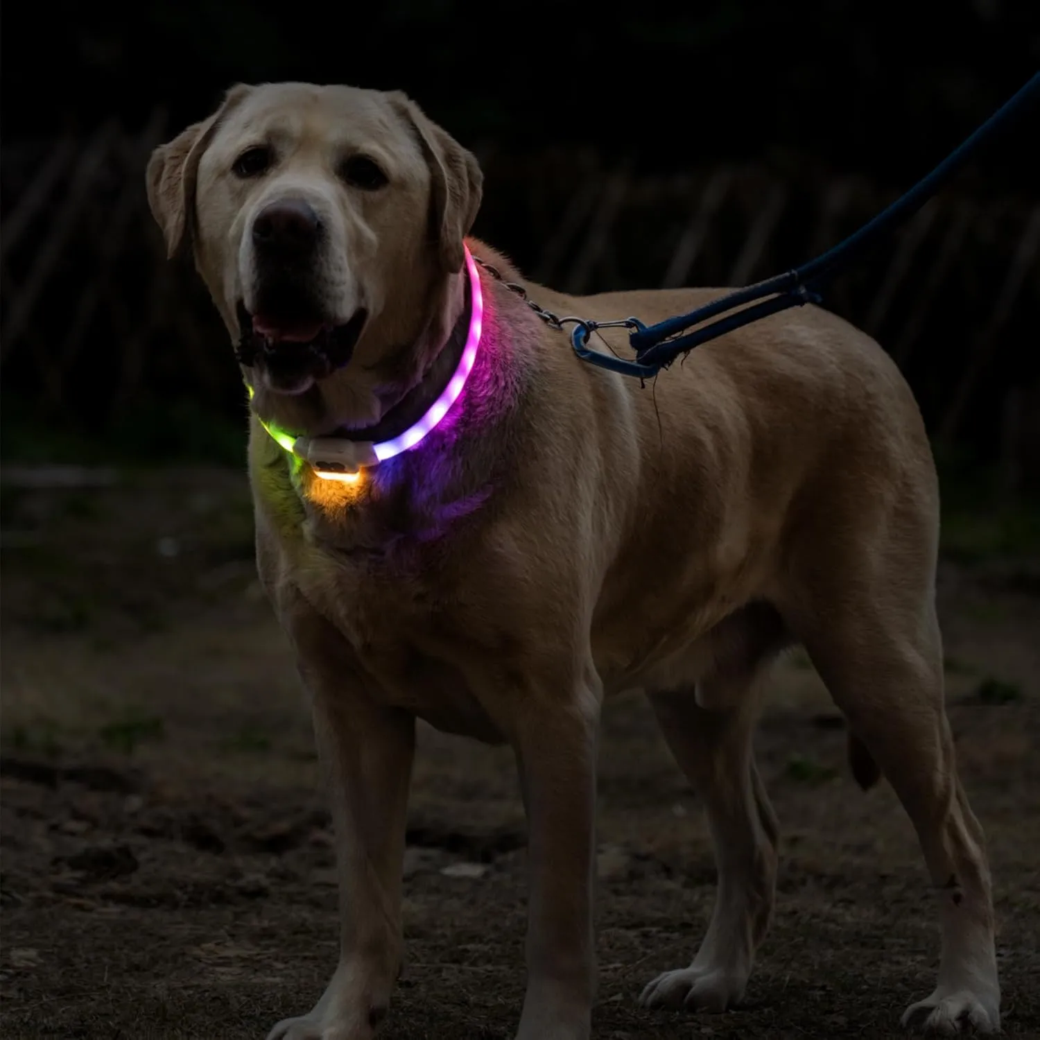 Light Up Dog Collar for Night Walking, USB Rechargeable LED Dog Collar with 6 Glow Modes, Adjustable, Reusable, Durable, Keep Safe in Dark for Small Medium Large Dogs (White, L)