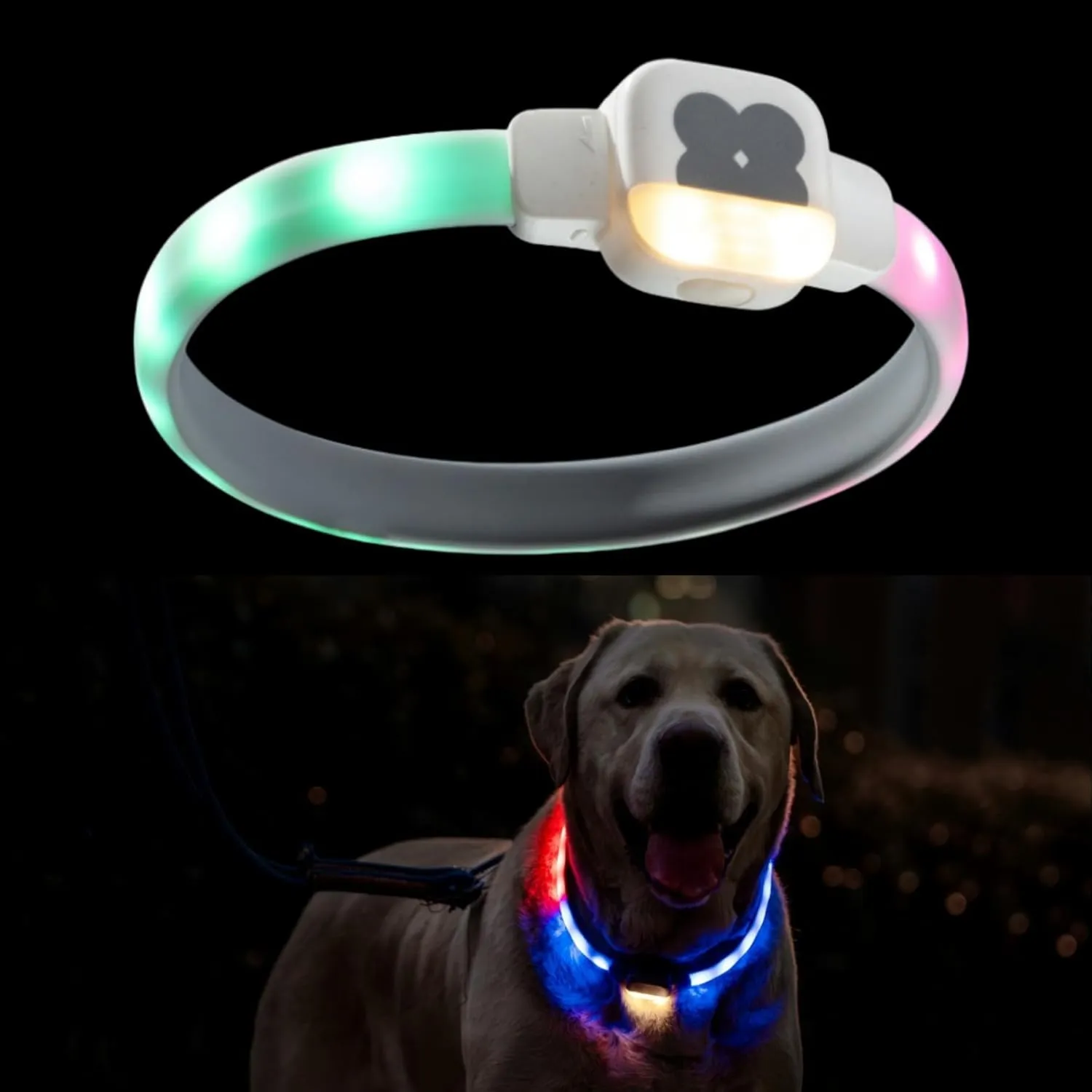 Light Up Dog Collar for Night Walking, USB Rechargeable LED Dog Collar with 6 Glow Modes, Adjustable, Reusable, Durable, Keep Safe in Dark for Small Medium Large Dogs (White, L)
