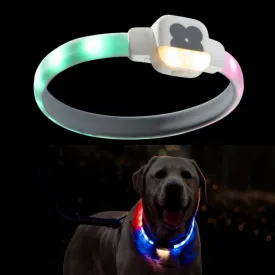 Light Up Dog Collar for Night Walking, USB Rechargeable LED Dog Collar with 6 Glow Modes, Adjustable, Reusable, Durable, Keep Safe in Dark for Small Medium Large Dogs (White, L)
