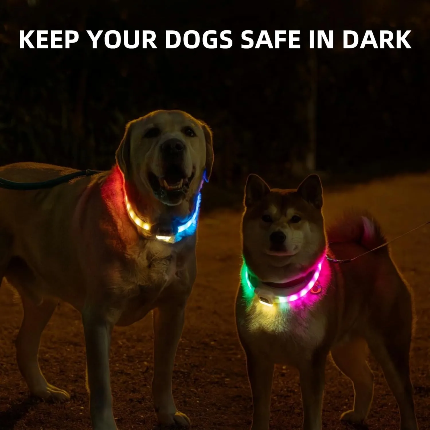 Light Up Dog Collar for Night Walking, USB Rechargeable LED Dog Collar with 6 Glow Modes, Adjustable, Reusable, Durable, Keep Safe in Dark for Small Medium Large Dogs (White, L)