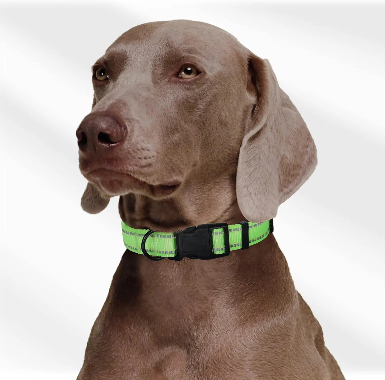 Mile High Life Nylon Night Light Glow Collar, Reflective Light Up Dog Collar, Fluorescent Self-Luminescent Strap for Small Medium Large Dogs (Lime, M Neck13-17")
