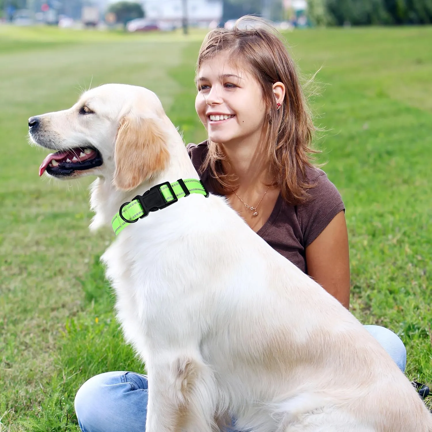 Mile High Life Nylon Night Light Glow Collar, Reflective Light Up Dog Collar, Fluorescent Self-Luminescent Strap for Small Medium Large Dogs (Lime, M Neck13-17")