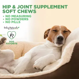 Natural Grain-Free Soft Chews Hip & Joint Supplement for Dogs - Advanced Arthritis Relief 480g