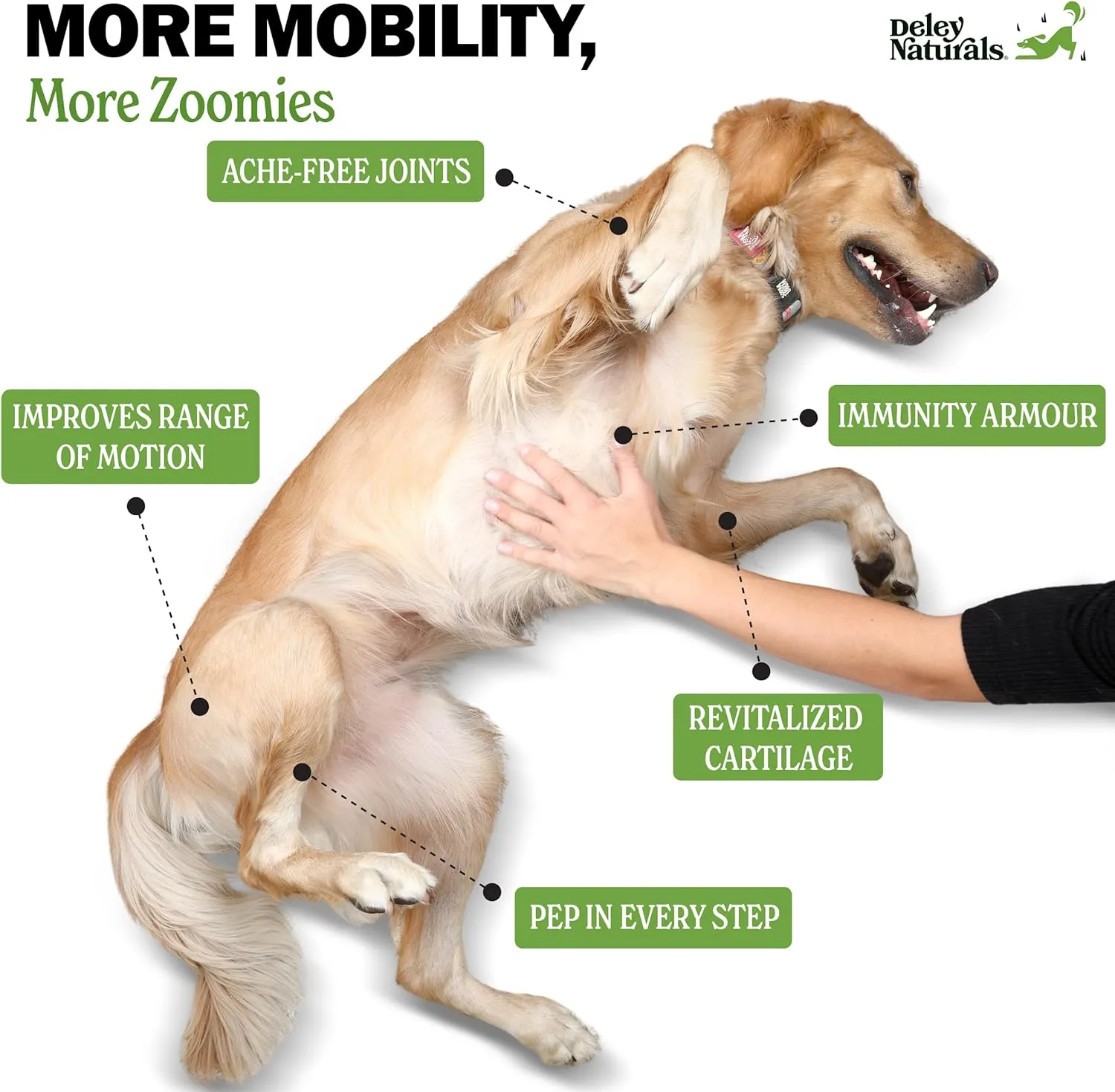 Natural Grain-Free Soft Chews Hip & Joint Supplement for Dogs - Advanced Arthritis Relief 480g