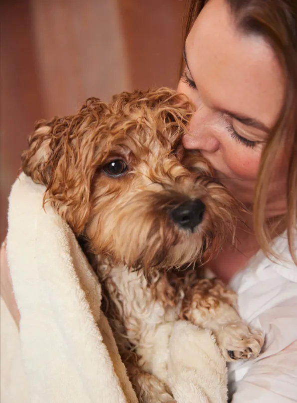 nocat studio cuddle care dog and cat Shampoo, LUFT