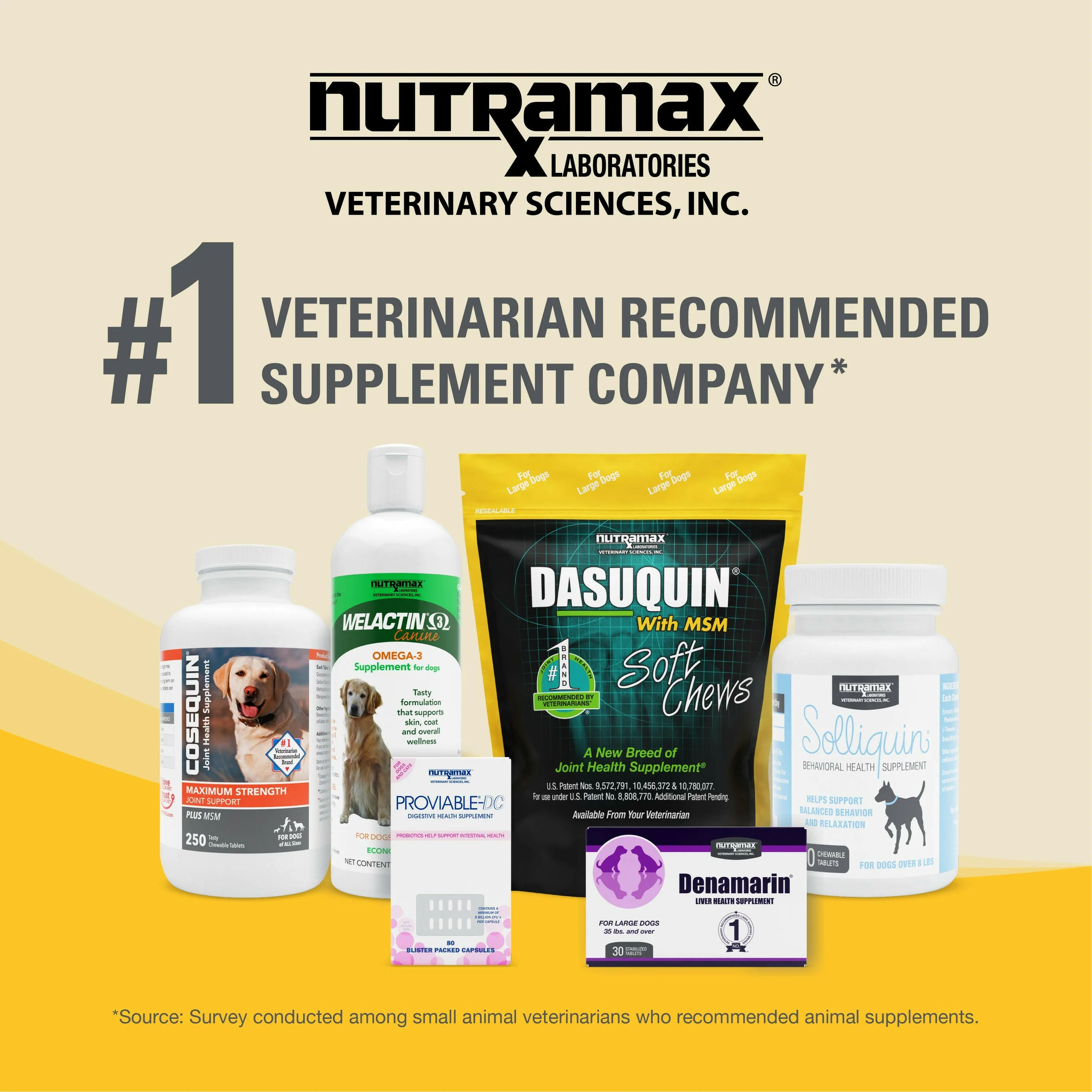 Nutramax Dasuquin Joint Health Supplement for Small to Medium Dogs - With Glucosamine, Chondroitin, ASU, MSM, Boswellia Serrata Extract, Green Tea Extract, Chewable Tablets