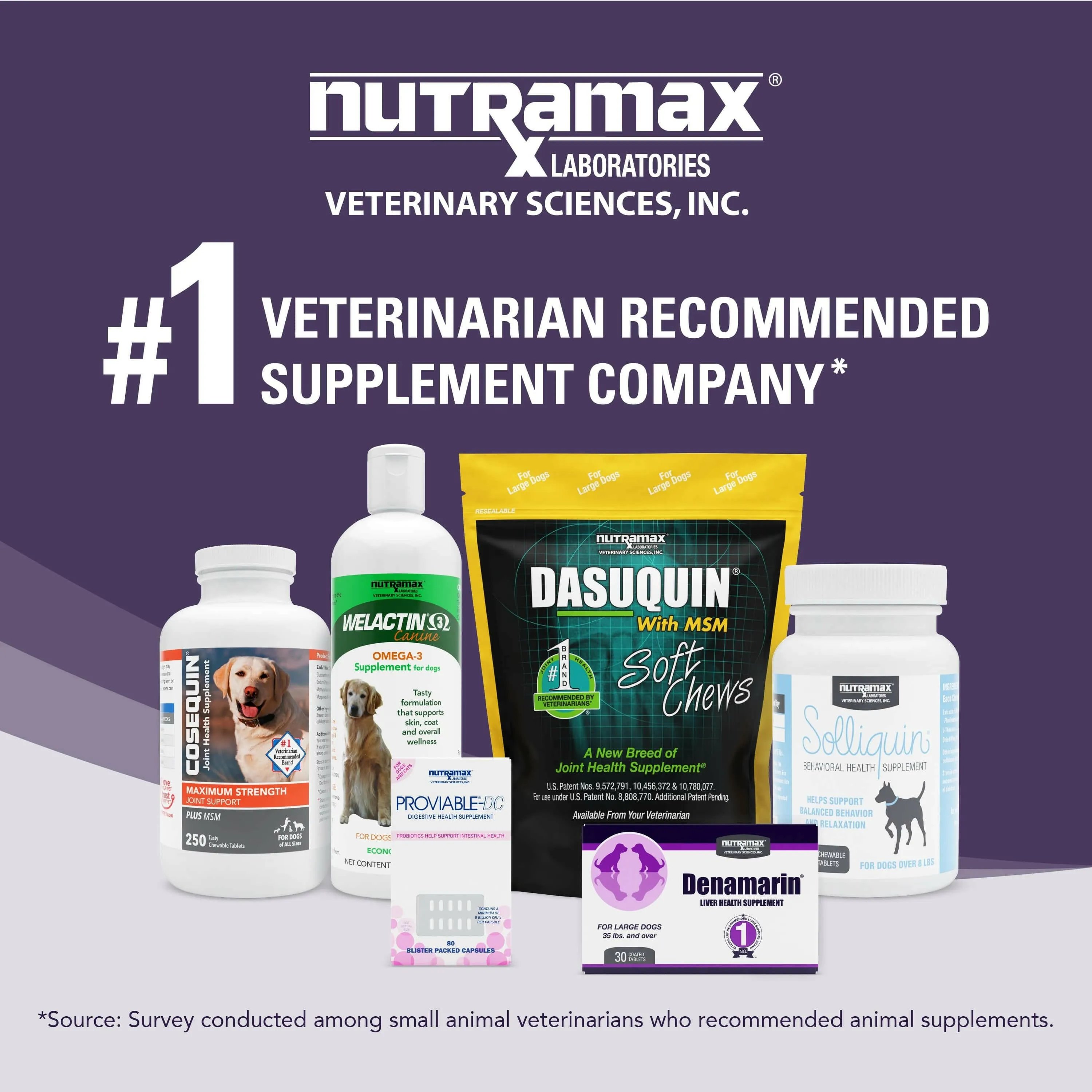 Nutramax Denamarin Liver Health Supplement for Large Dogs - With S-Adenosylmethionine (SAMe) and Silybin, Tablets