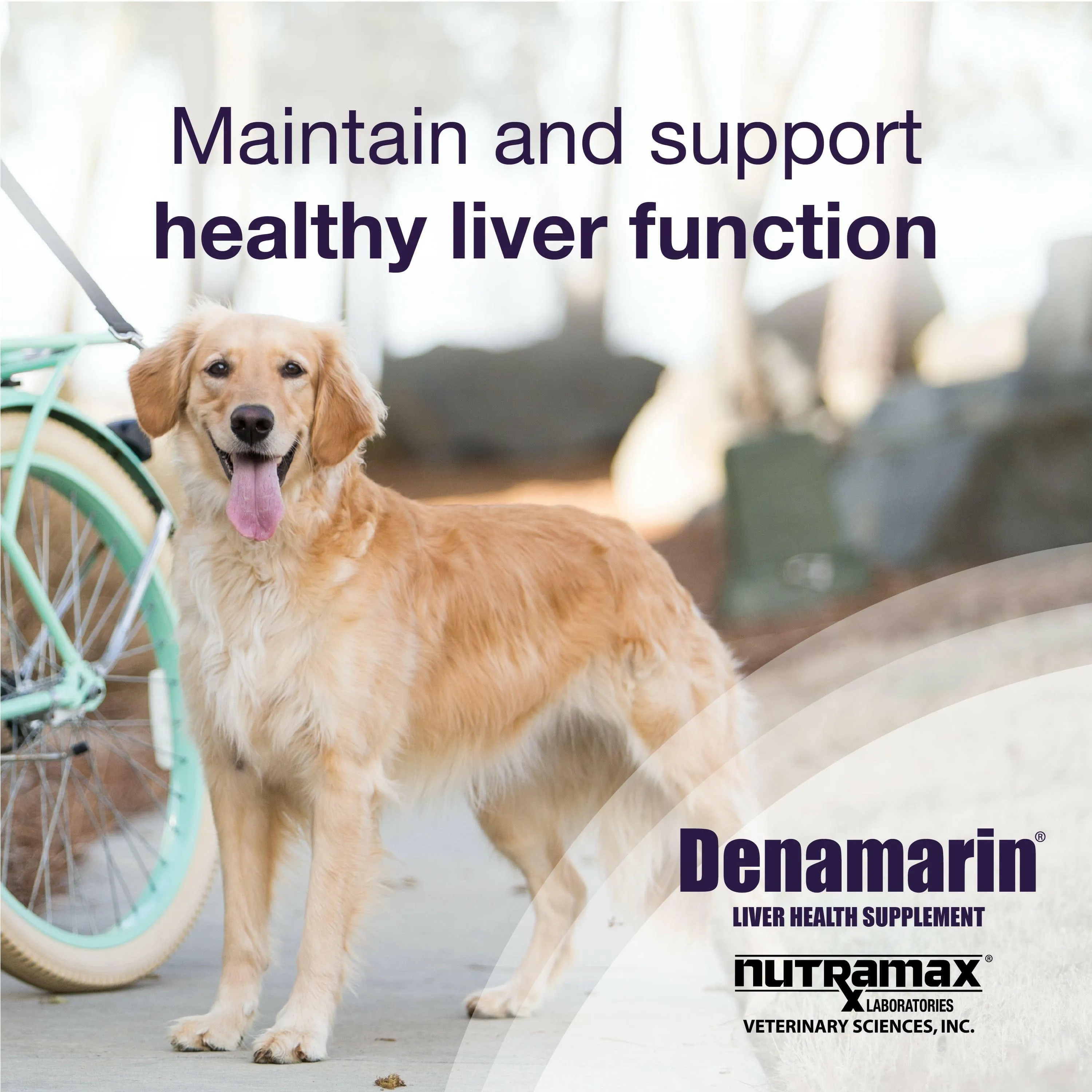 Nutramax Denamarin Liver Health Supplement for Large Dogs - With S-Adenosylmethionine (SAMe) and Silybin, Tablets
