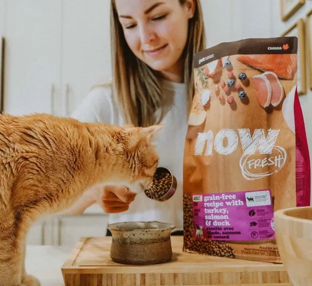 PETCUREAN Now Fresh - Grain-Free Turkey, Salmon   Duck for Cats