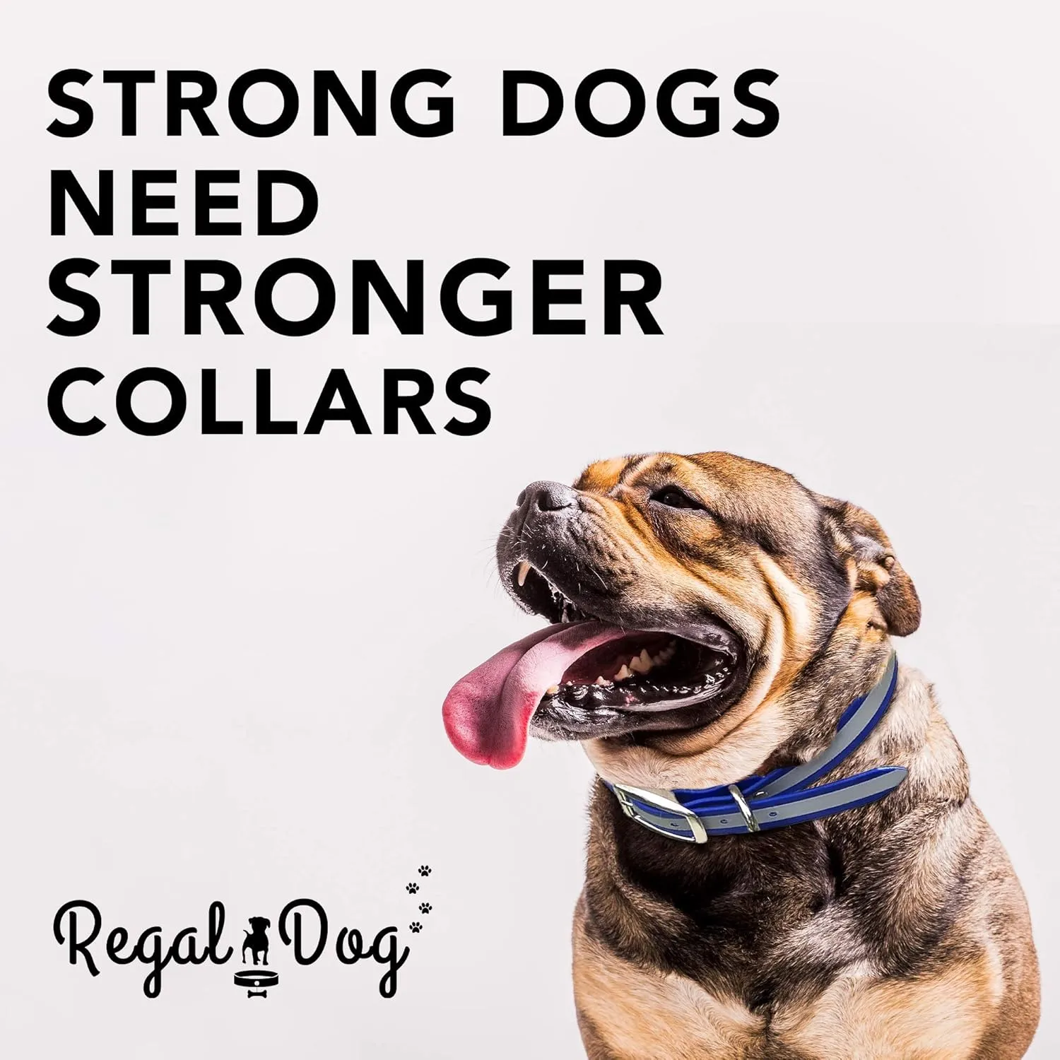 Regal Dog Products Medium Blue Heavy Duty Reflective Dog Collar with Durable Metal Buckle and D Ring Adjustable, Chew Proof & Waterproof Strong Small Dog Collar | Other Sizes for Medium & Large Dogs