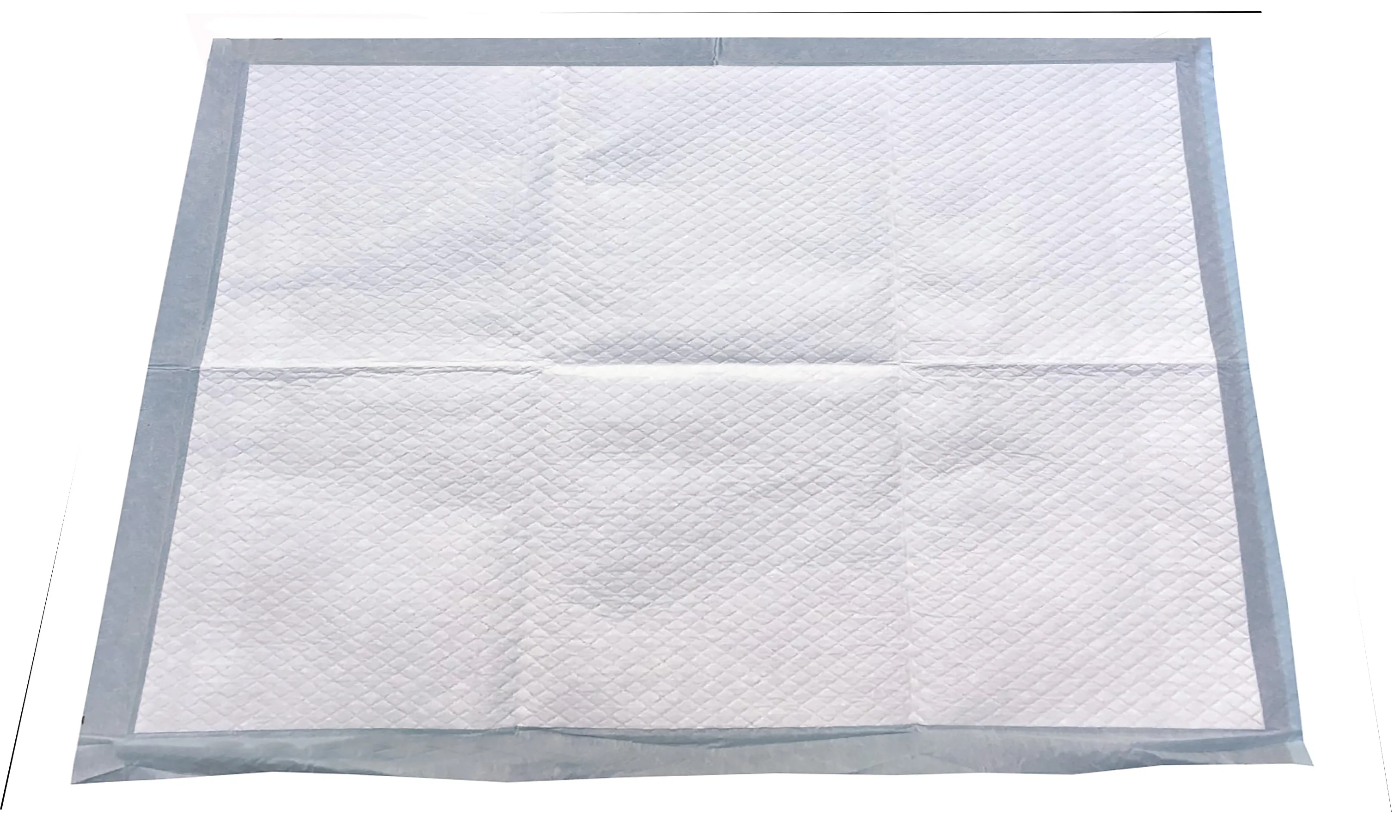 Wiz B Gone 100 Pack Puppy/Adult Training Pads 22 X 22 inches