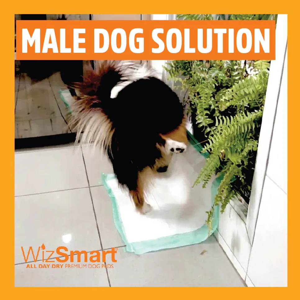 WizSmart -  Heavyweight Ultra Dog Pads (10  Cups)