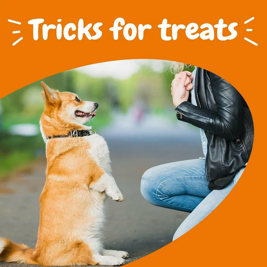 Zesty paws All-in-One Peanut Butter Flavored Multivitamin Training Bites for Dogs (8 oz)