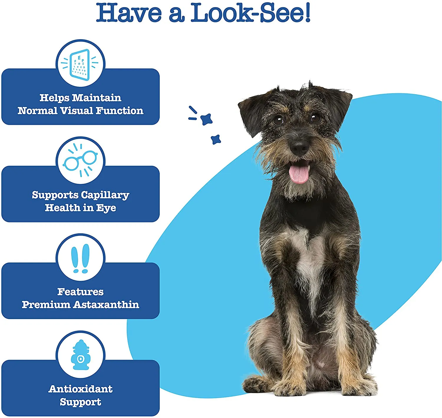 Zesty Paws Eye Supplement for Dogs - Vision Support with Lutein   Vitamin C & Astaxanthin Antioxidants - Dog Vitamins for Eyes   Fish Oil for Omega 3 EPA & DHA for Senior Dogs